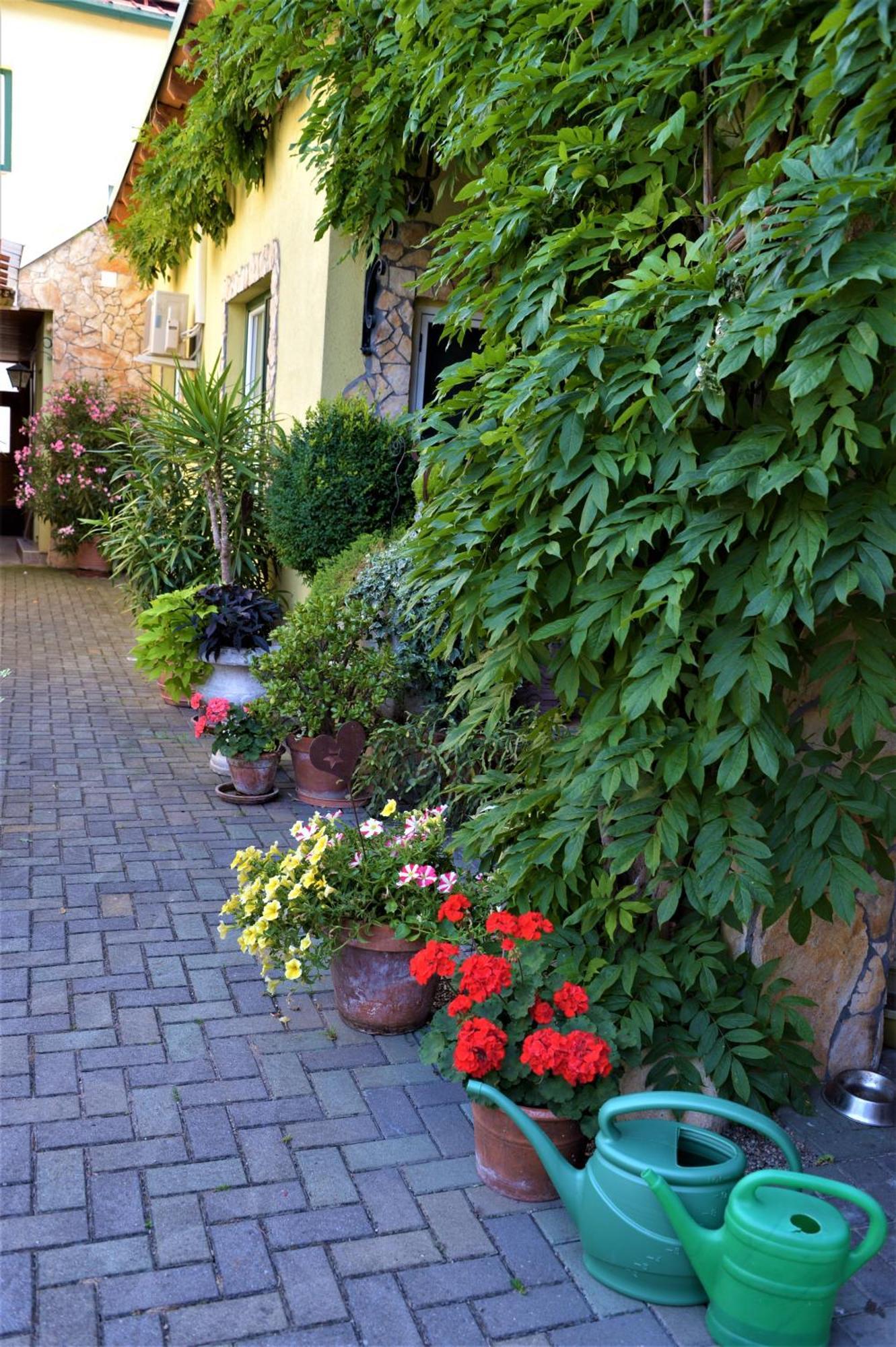 Ferienwohnung Koppi Pamhagen Buitenkant foto