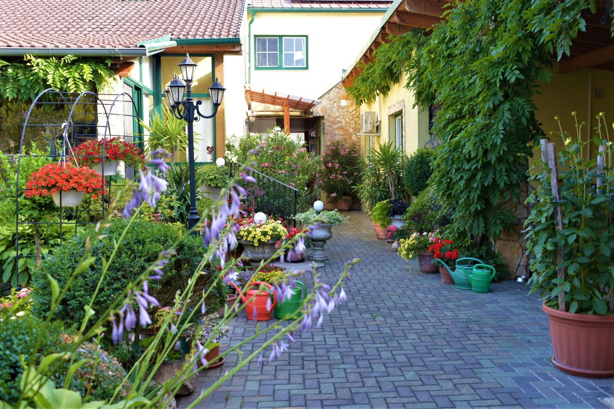 Ferienwohnung Koppi Pamhagen Buitenkant foto