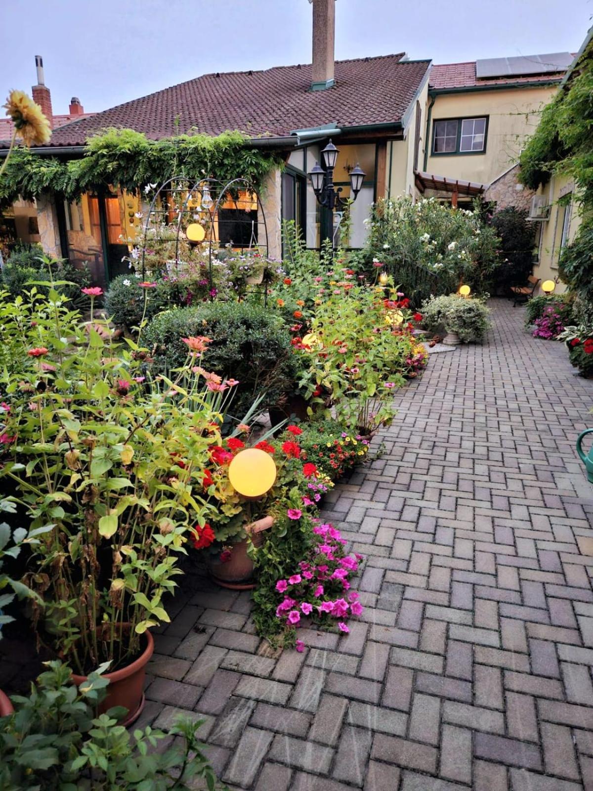 Ferienwohnung Koppi Pamhagen Buitenkant foto