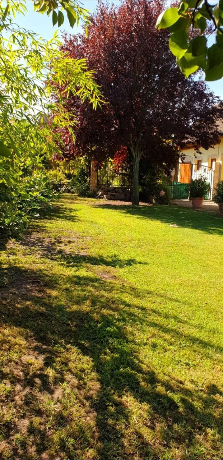 Ferienwohnung Koppi Pamhagen Buitenkant foto