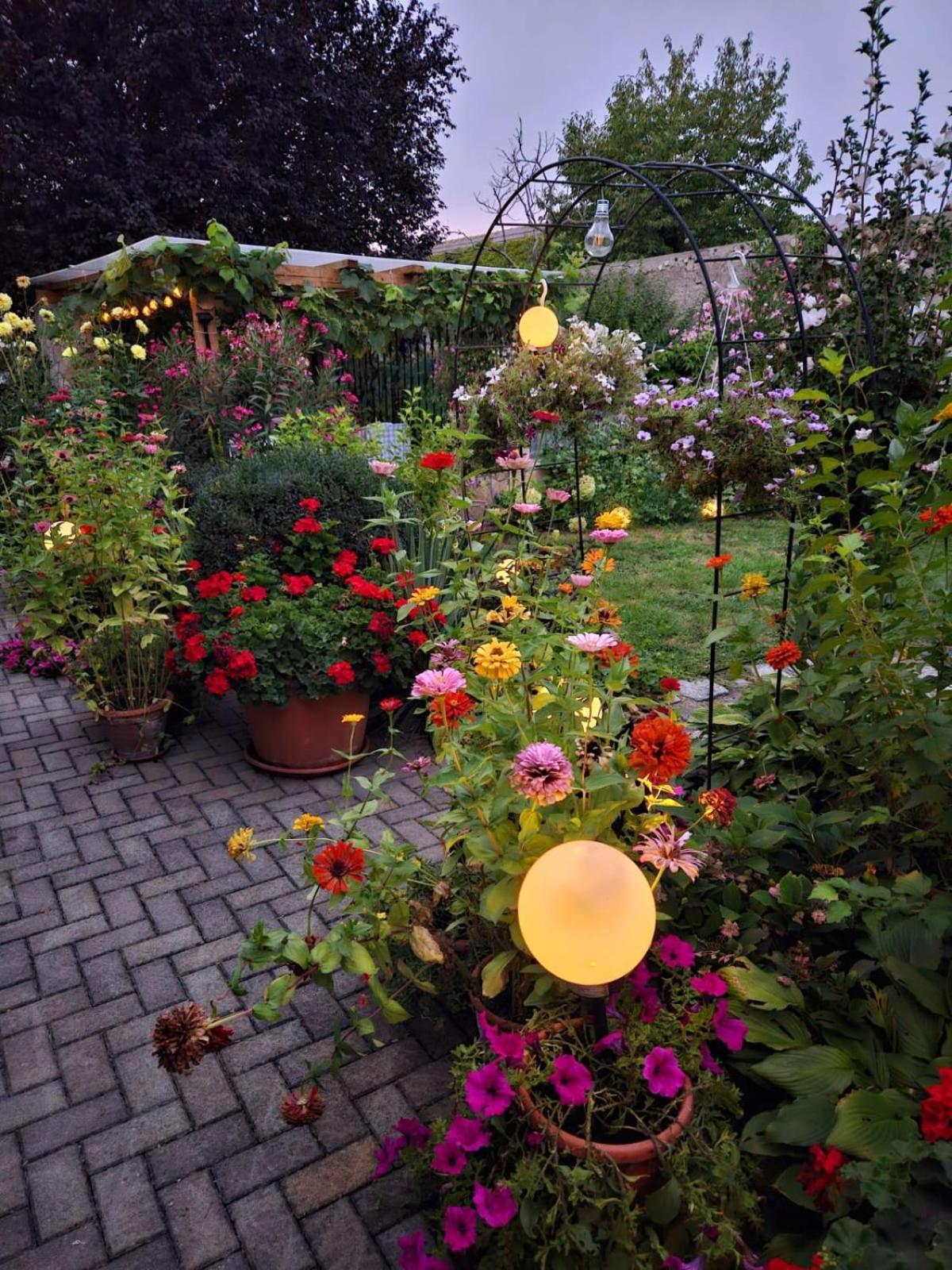 Ferienwohnung Koppi Pamhagen Buitenkant foto