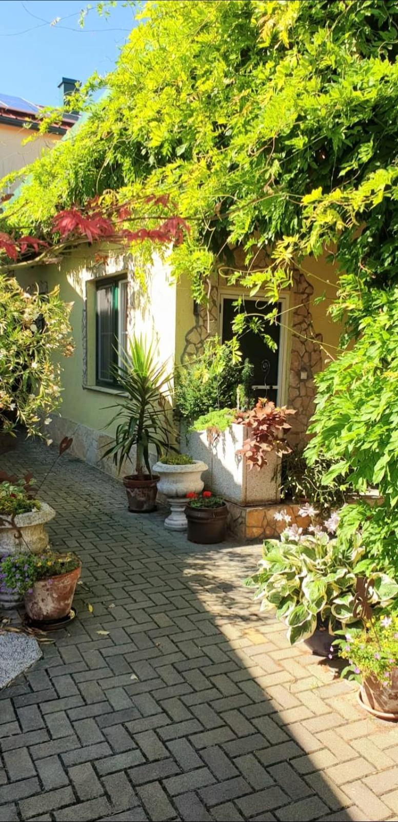 Ferienwohnung Koppi Pamhagen Buitenkant foto
