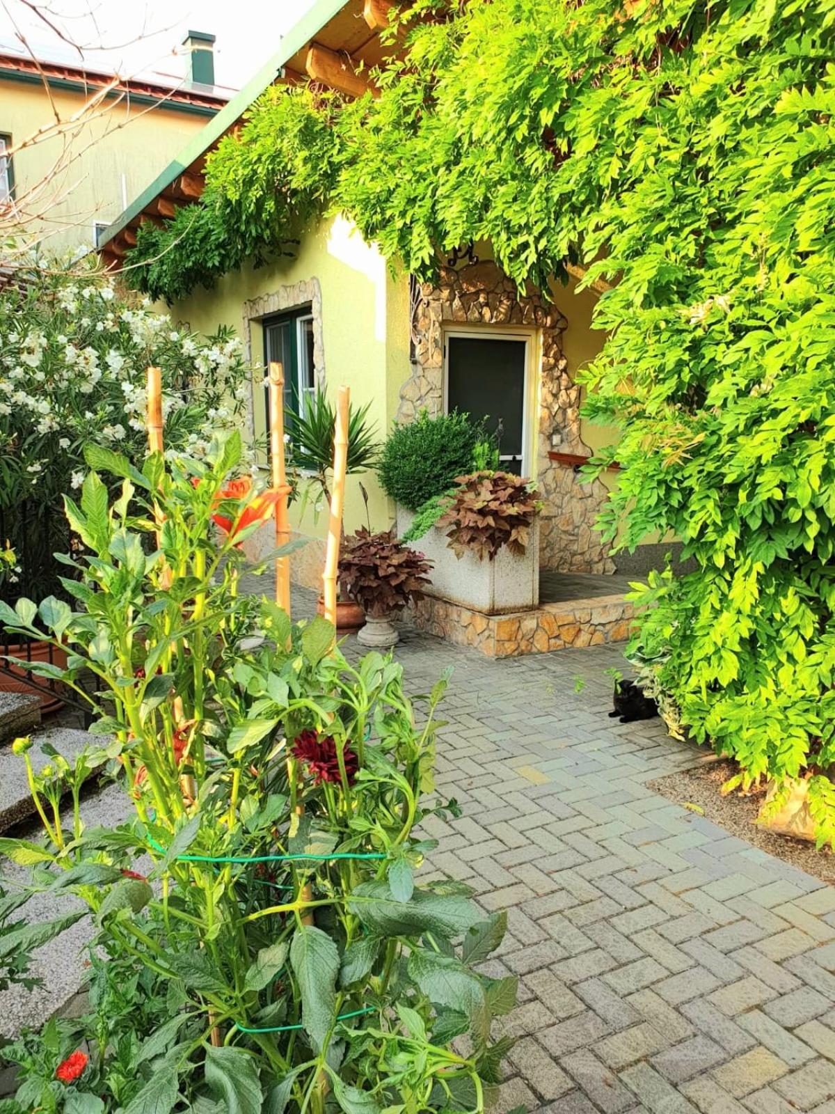Ferienwohnung Koppi Pamhagen Buitenkant foto