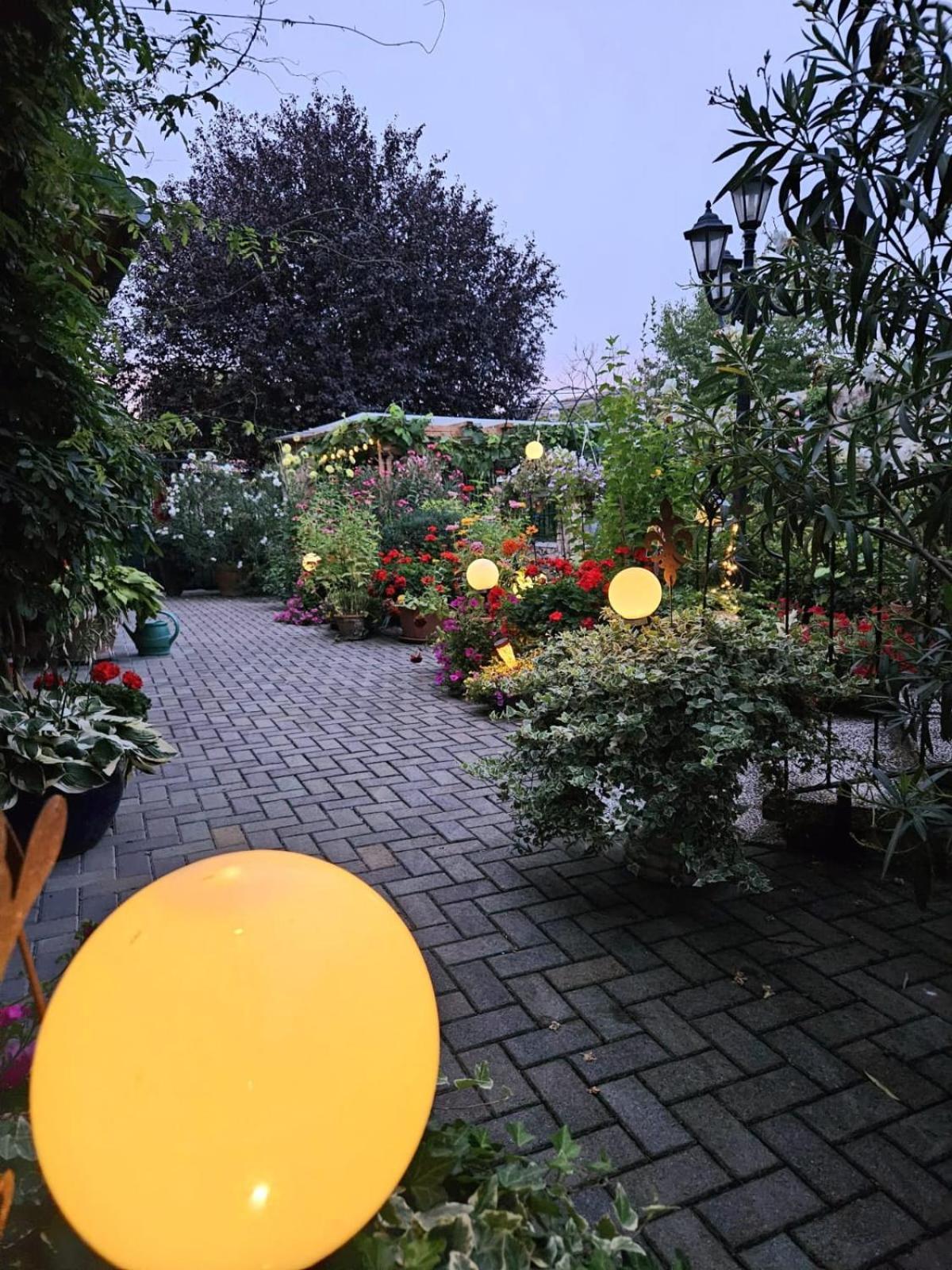 Ferienwohnung Koppi Pamhagen Buitenkant foto