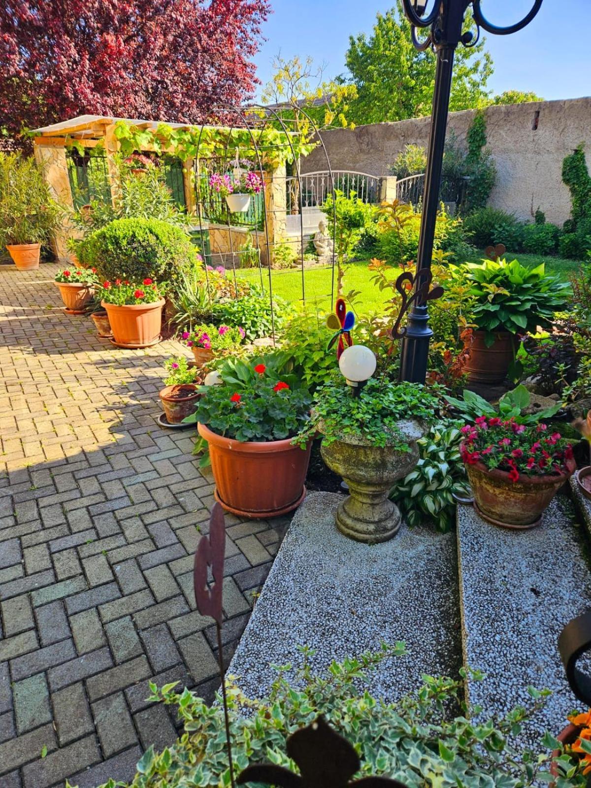 Ferienwohnung Koppi Pamhagen Buitenkant foto