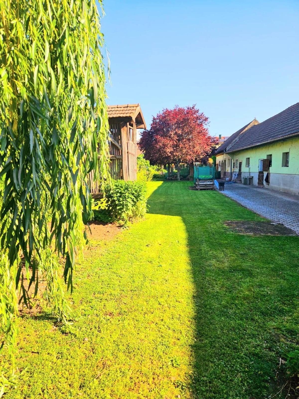 Ferienwohnung Koppi Pamhagen Buitenkant foto