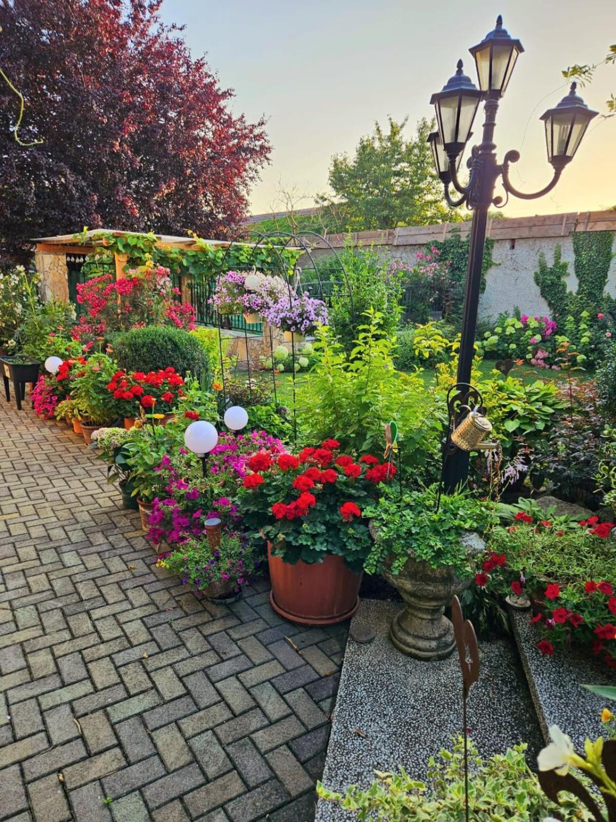 Ferienwohnung Koppi Pamhagen Buitenkant foto